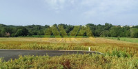 terrain à ARAUJUZON (64190)