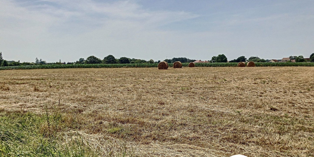 terrain à ARZACQ ARRAZIGUET (64410)