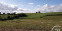 terrain à LABEYRIE (64300)