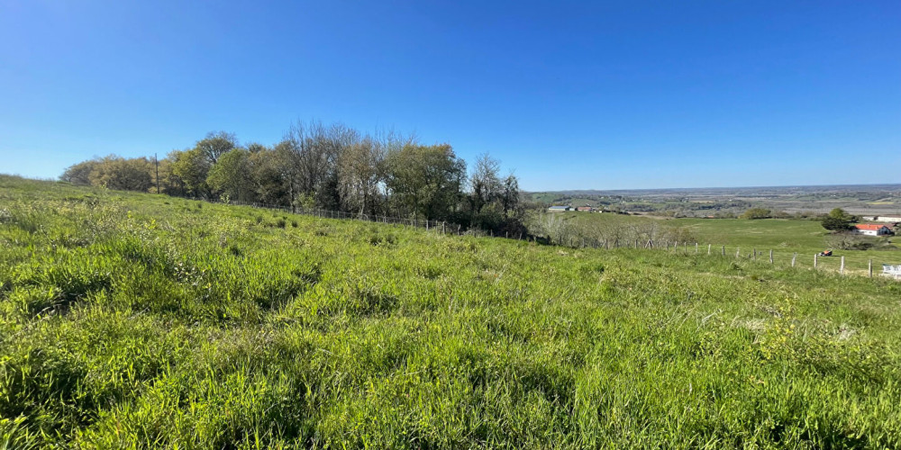 terrain à BIDACHE (64520)
