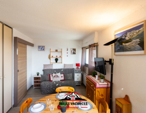 appartement  ST LARY SOULAN