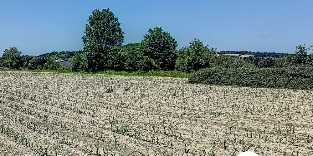 terrain à ASSAT (64510)