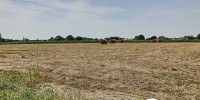 terrain à ARZACQ ARRAZIGUET (64410)