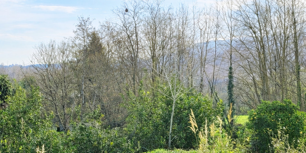 terrain à URRUGNE (64122)