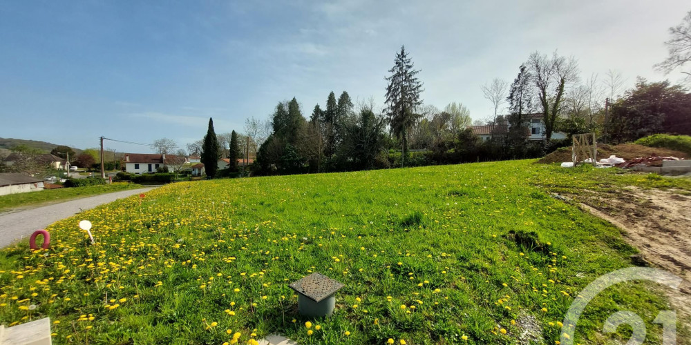 terrain à LAA MONDRANS (64300)
