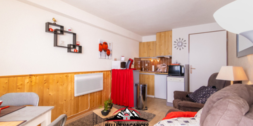 appartement à ST LARY SOULAN (65170)