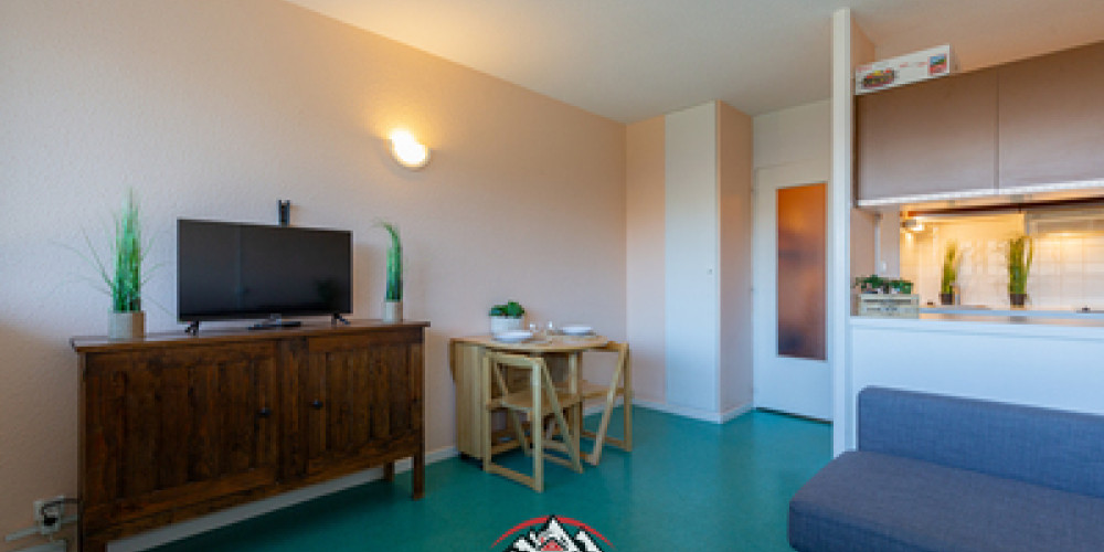 appartement à ST LARY SOULAN (65170)