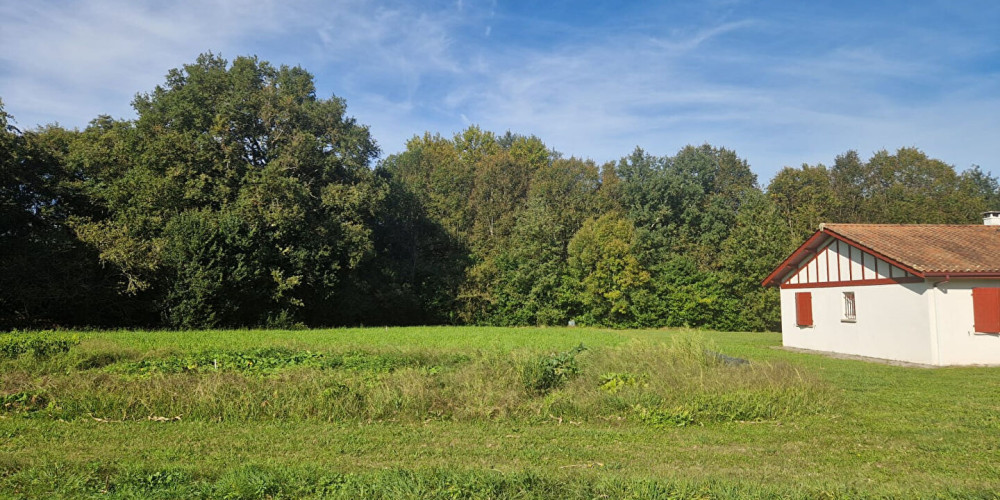 terrain à URRUGNE (64122)