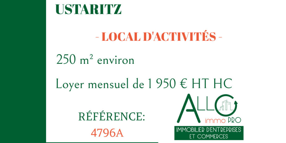 local industriel à USTARITZ (64480)