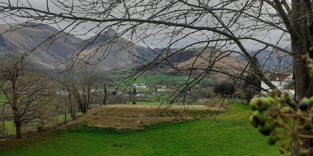 terrain à LECUMBERRY (64220)