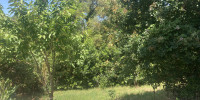 terrain à BOUCAU (64340)