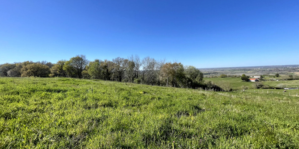 terrain à BIDACHE (64520)