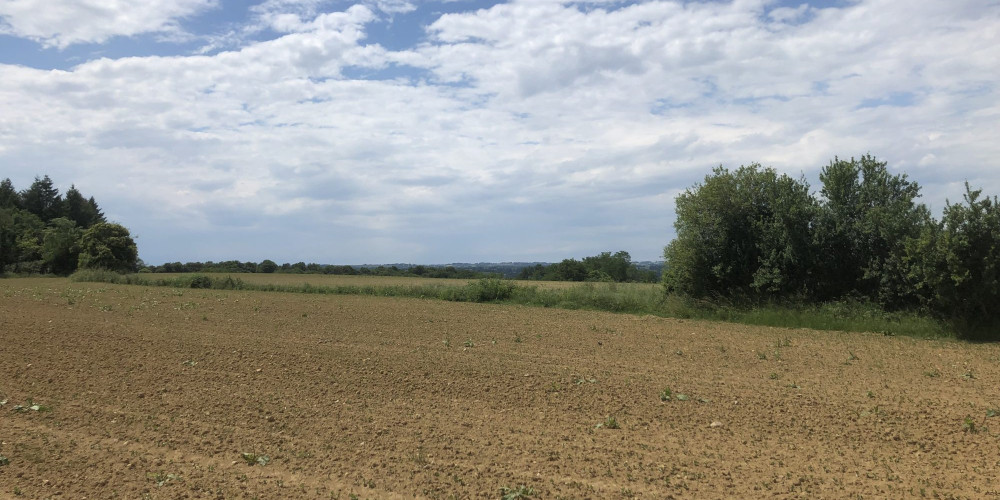 terrain à MORLAAS (64160)