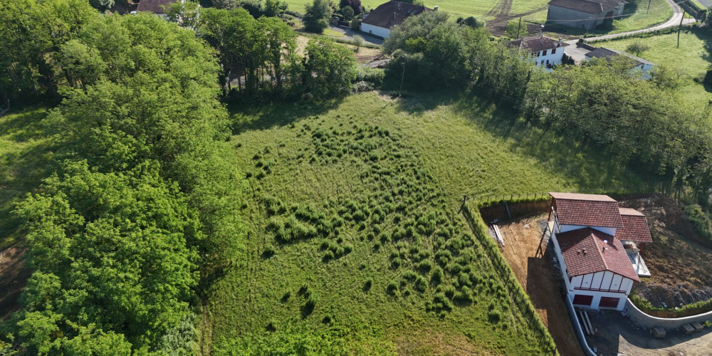 terrain à HASPARREN (64240)