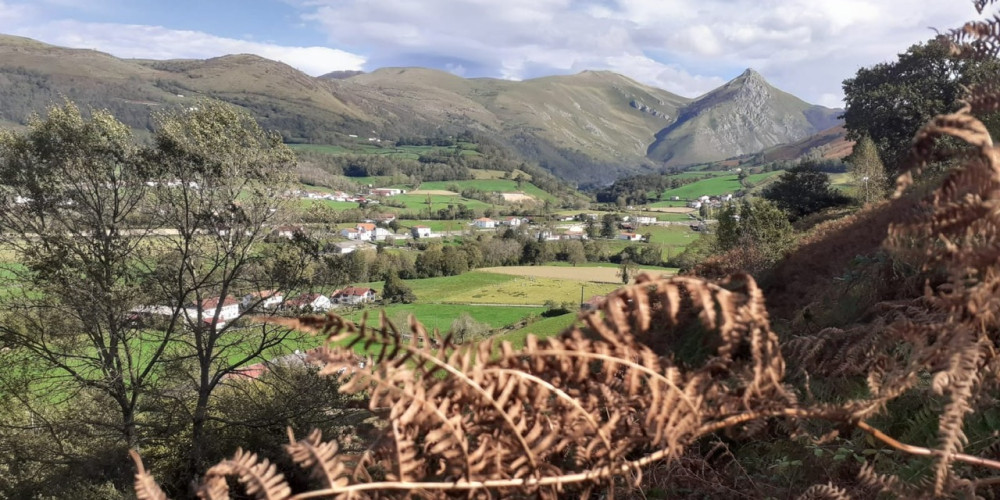 terrain à LECUMBERRY (64220)