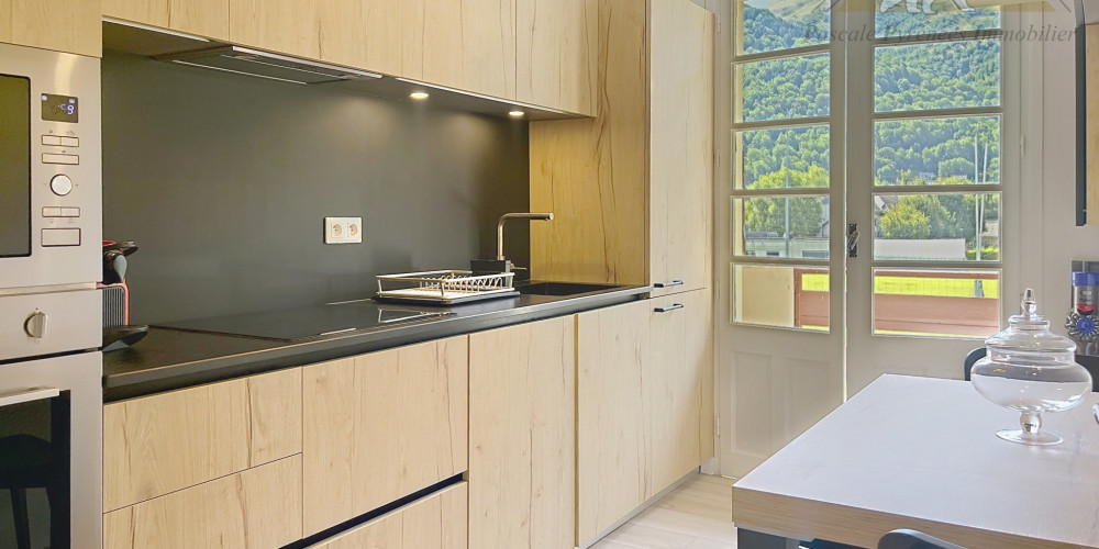 appartement à ST LARY SOULAN (65170)