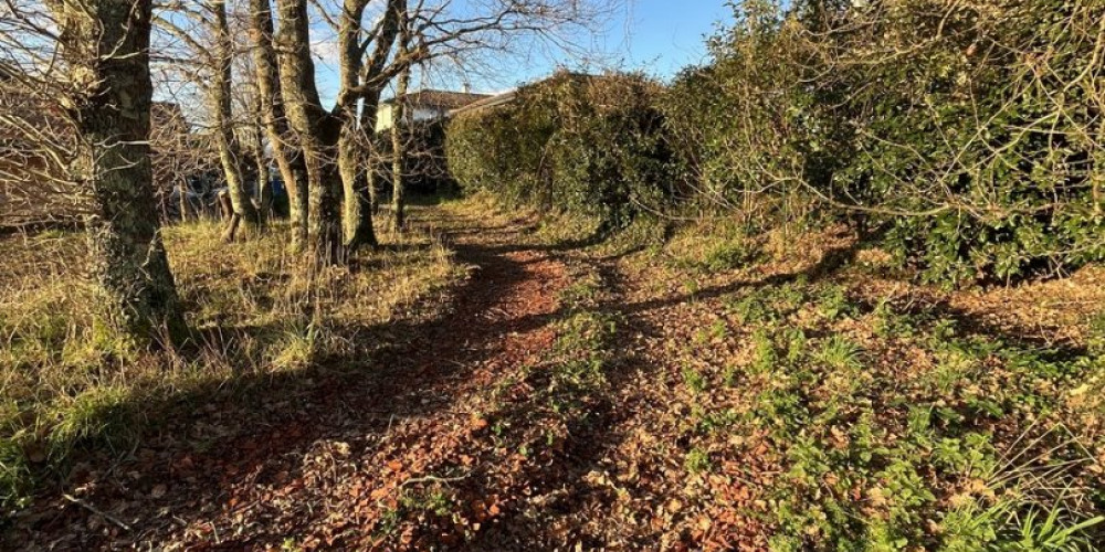 terrain à ARBONNE (64210)