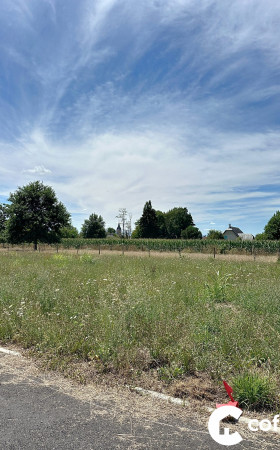 Terrain  LALOUBERE