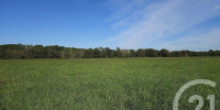 terrain à SAULT DE NAVAILLES (64300)