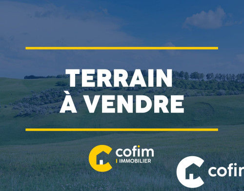 terrain  ST PIERRE D IRUBE