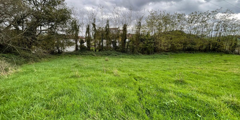 terrain à MEHARIN (64120)