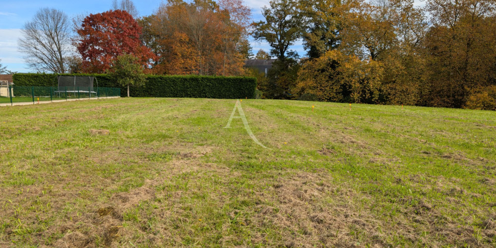 terrain à IDRON (64320)