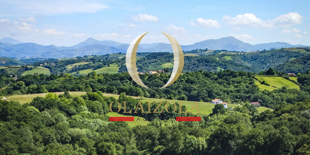 maison à ST PEE SUR NIVELLE (64310)