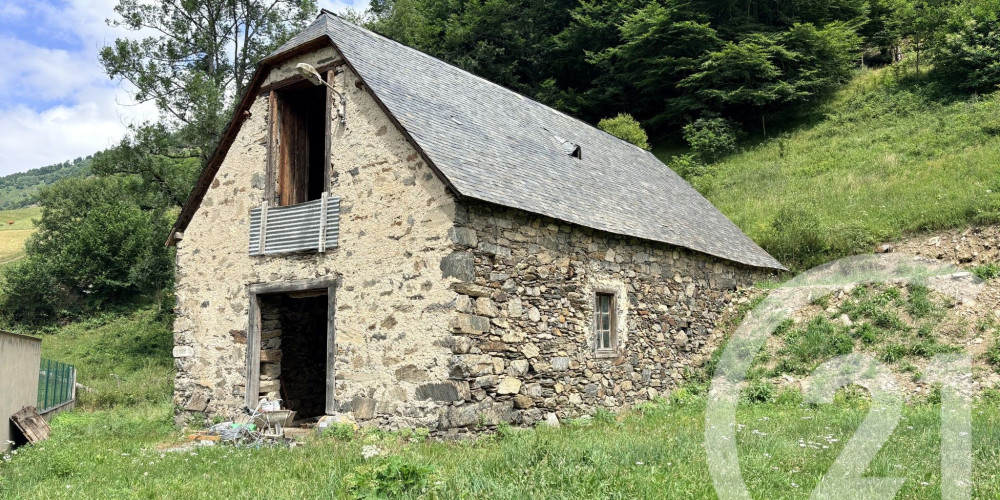 maison à ESTAING (65400)