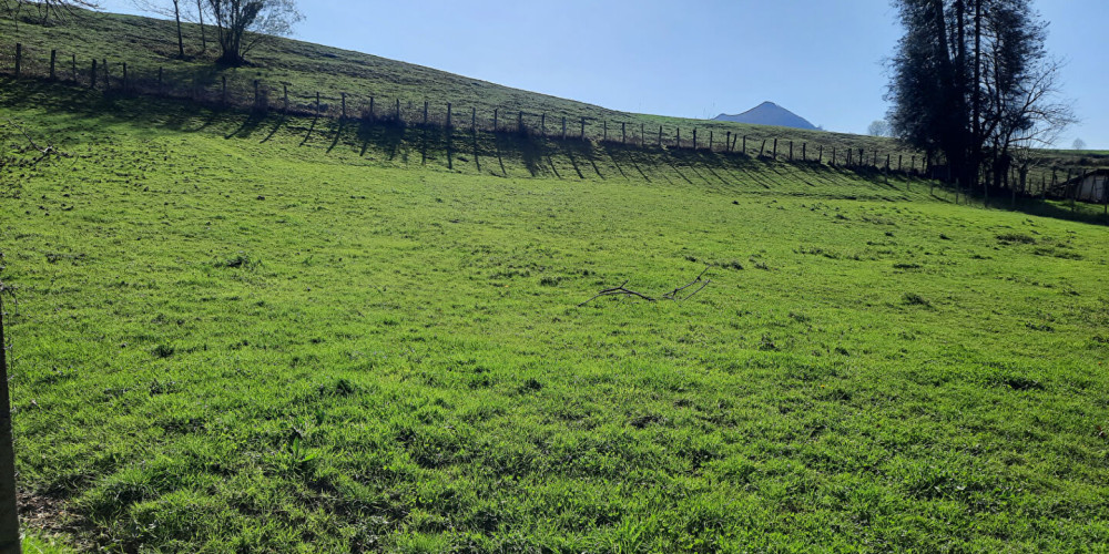 terrain à SARE (64310)