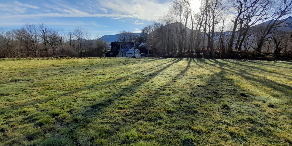 terrain à ST PE DE BIGORRE (65270)
