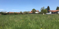 terrain à USTARITZ (64480)