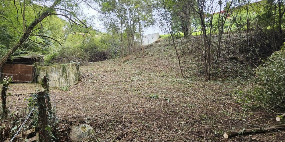 terrain à AINHOA (64250)