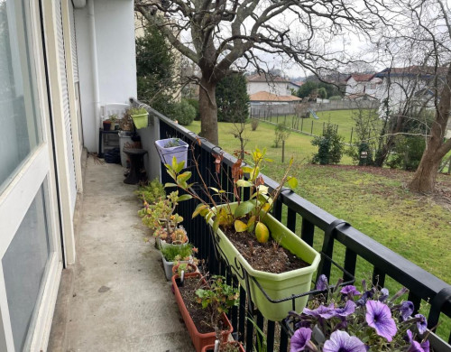 appartement  ANGLET