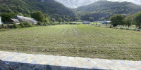 terrain à GER (65100)