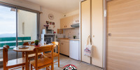 appartement à ST LARY SOULAN (65170)