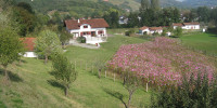 maison à ST JEAN PIED DE PORT (64220)