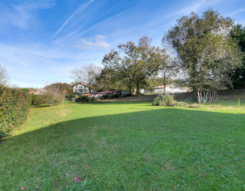 terrain  ST PEE SUR NIVELLE