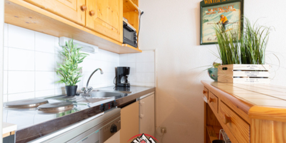appartement à ST LARY SOULAN (65170)