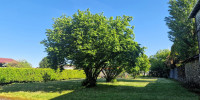 maison à LAHONTAN (64270)