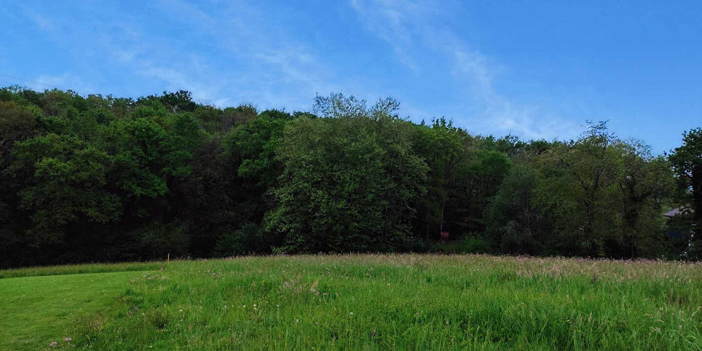terrain à URCUIT (64990)