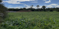terrain à ARTIGUELOUTAN (64420)