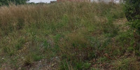 terrain à URRUGNE (64122)