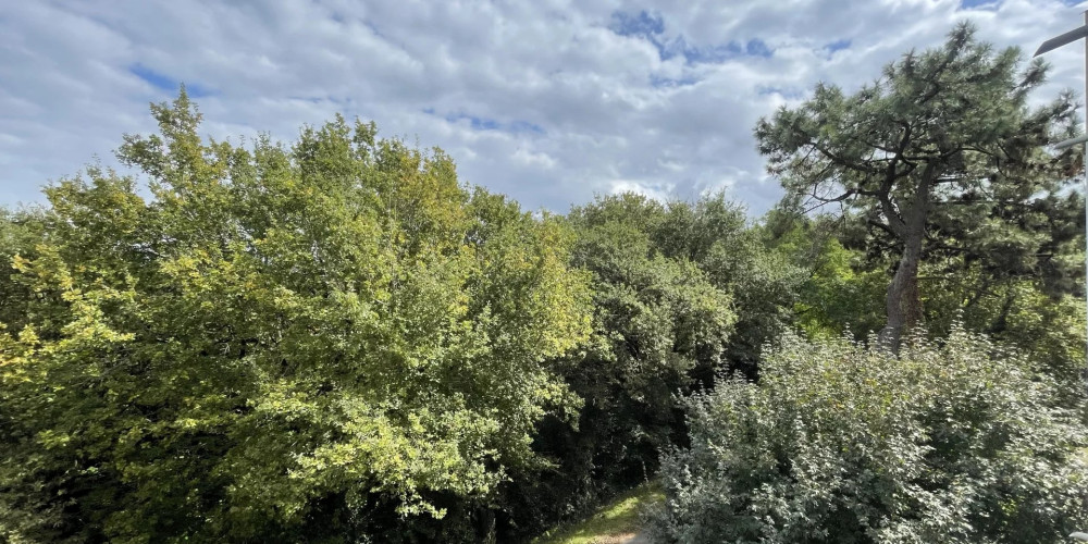 appartement à ST JEAN DE LUZ (64500)