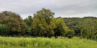 terrain à NAVARRENX (64190)