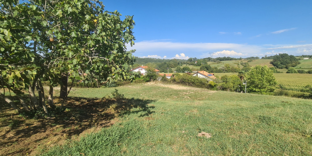 terrain à BRISCOUS (64240)