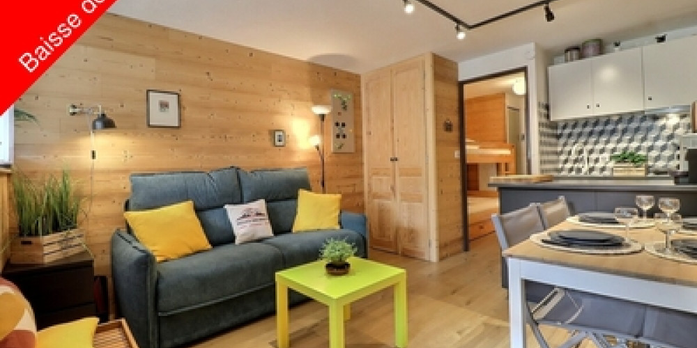 appartement à ST LARY SOULAN (65170)