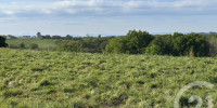 terrain à ORTHEZ (64300)