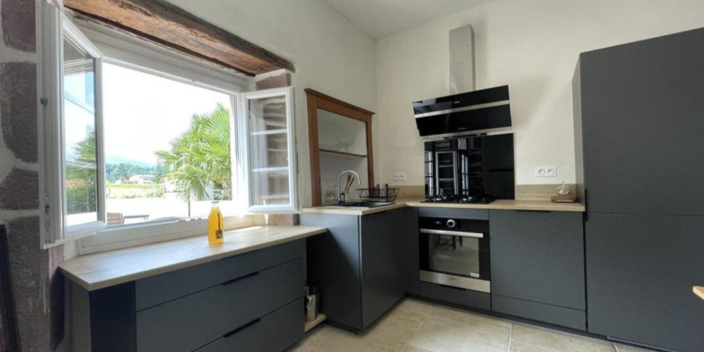 maison à ST JEAN LE VIEUX (64220)