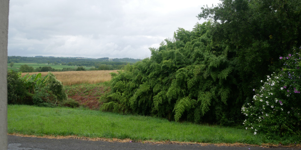 terrain à BIDACHE (64520)