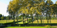 terrain à NAVARRENX (64190)